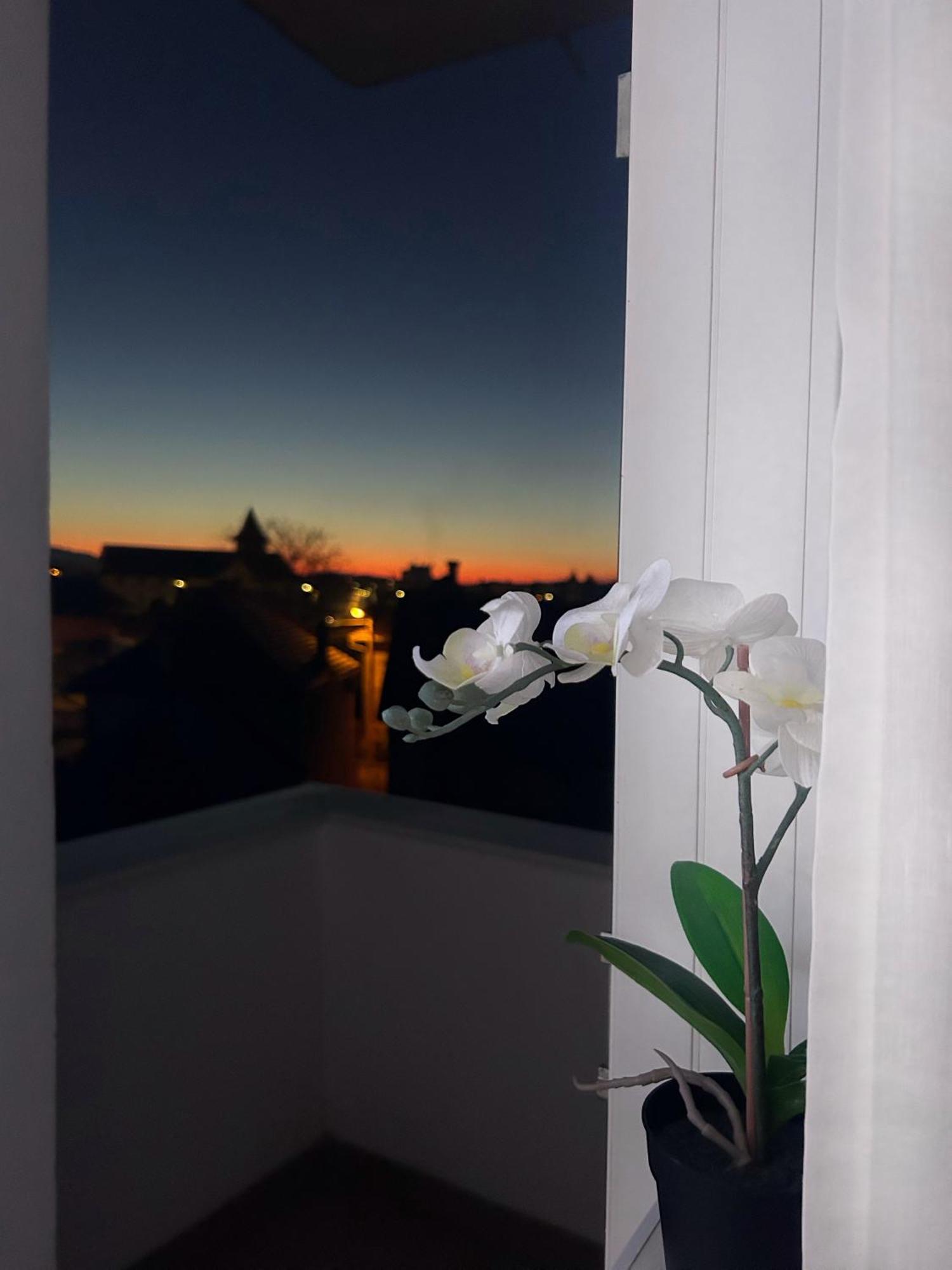 Davcom Studio Făgăraş 외부 사진