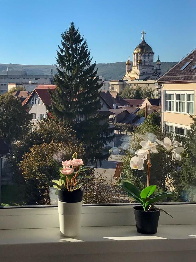 Davcom Studio Făgăraş 외부 사진